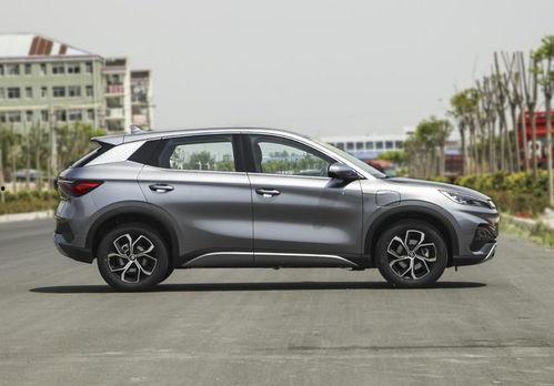 国产五月,绽放的青春与梦想 第1张 国产五月,绽放的青春与梦想 第1张